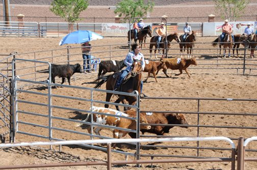 Ranch Sorting Events